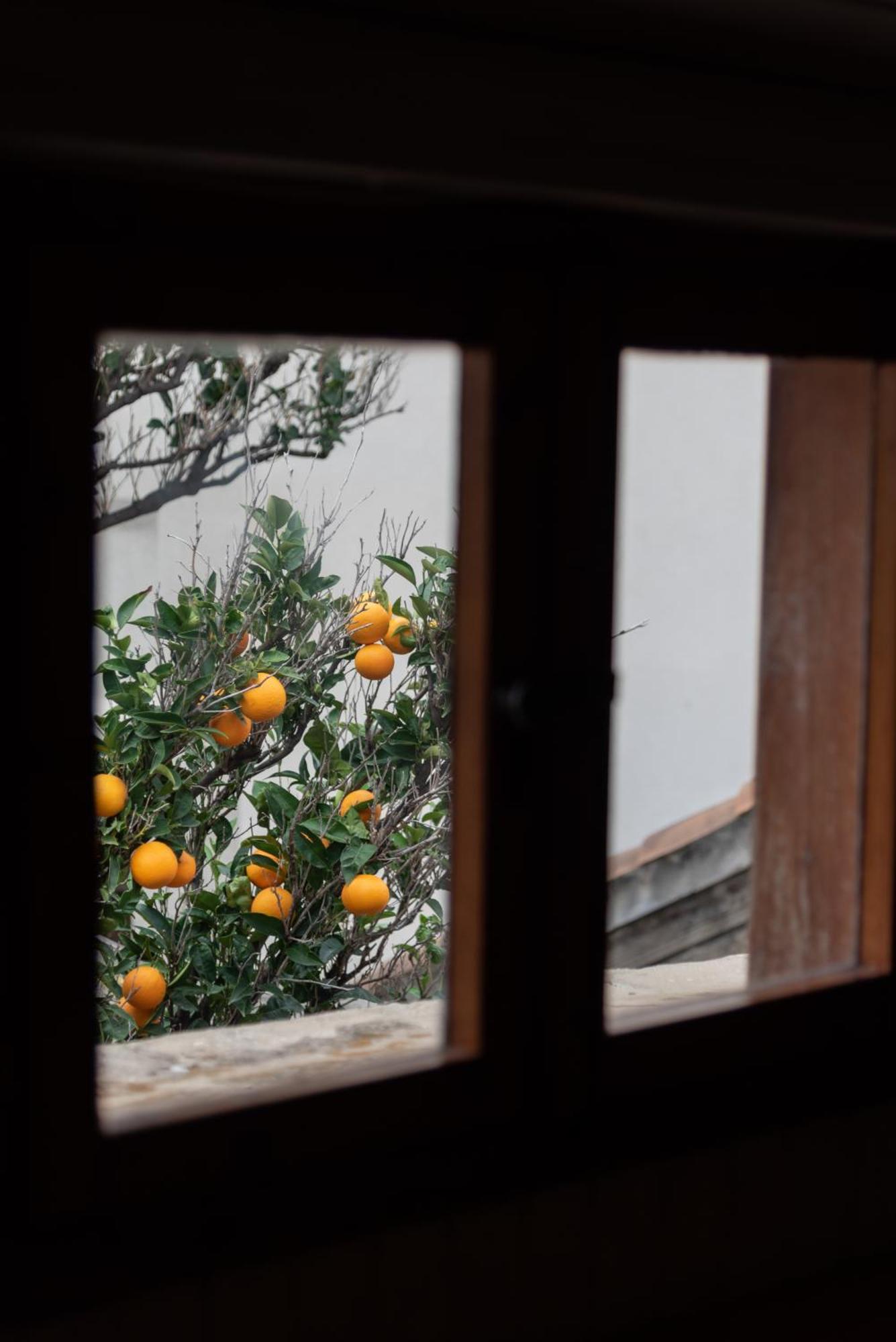 Located Duplex Apartment *